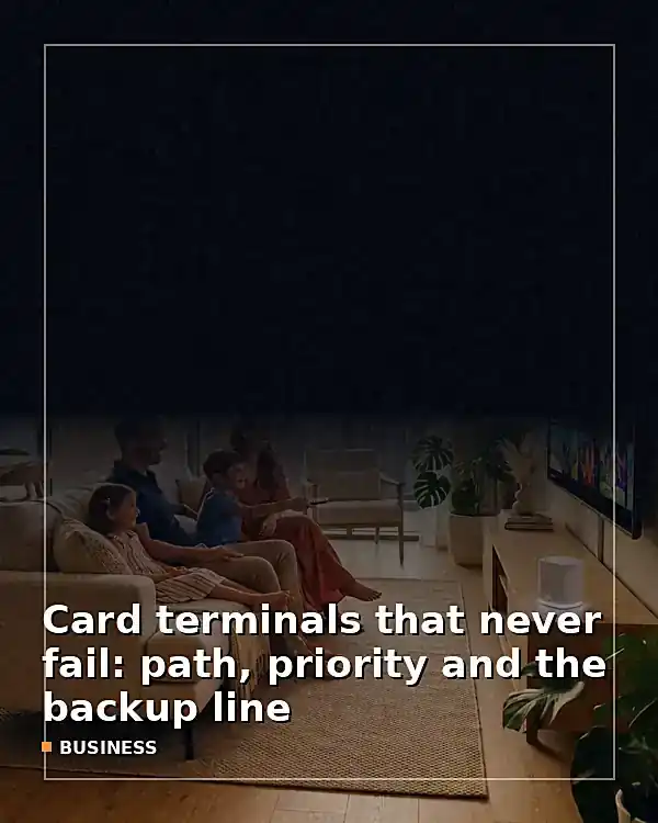 Card terminals that never fail: path, priority and the backup line - TelecomDesk guide artwork
