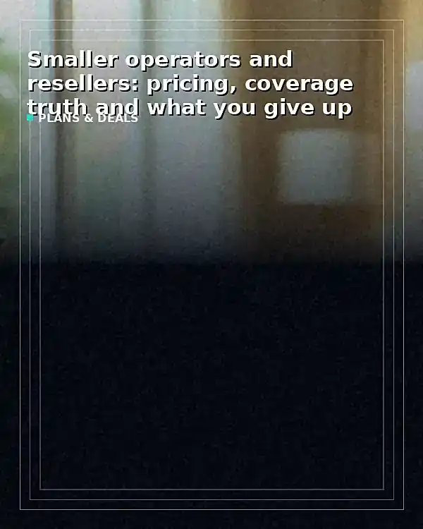 Smaller operators and resellers: pricing, coverage truth and what you give up - TelecomDesk guide artwork